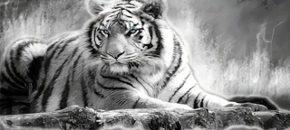Diamond Painting Tiger